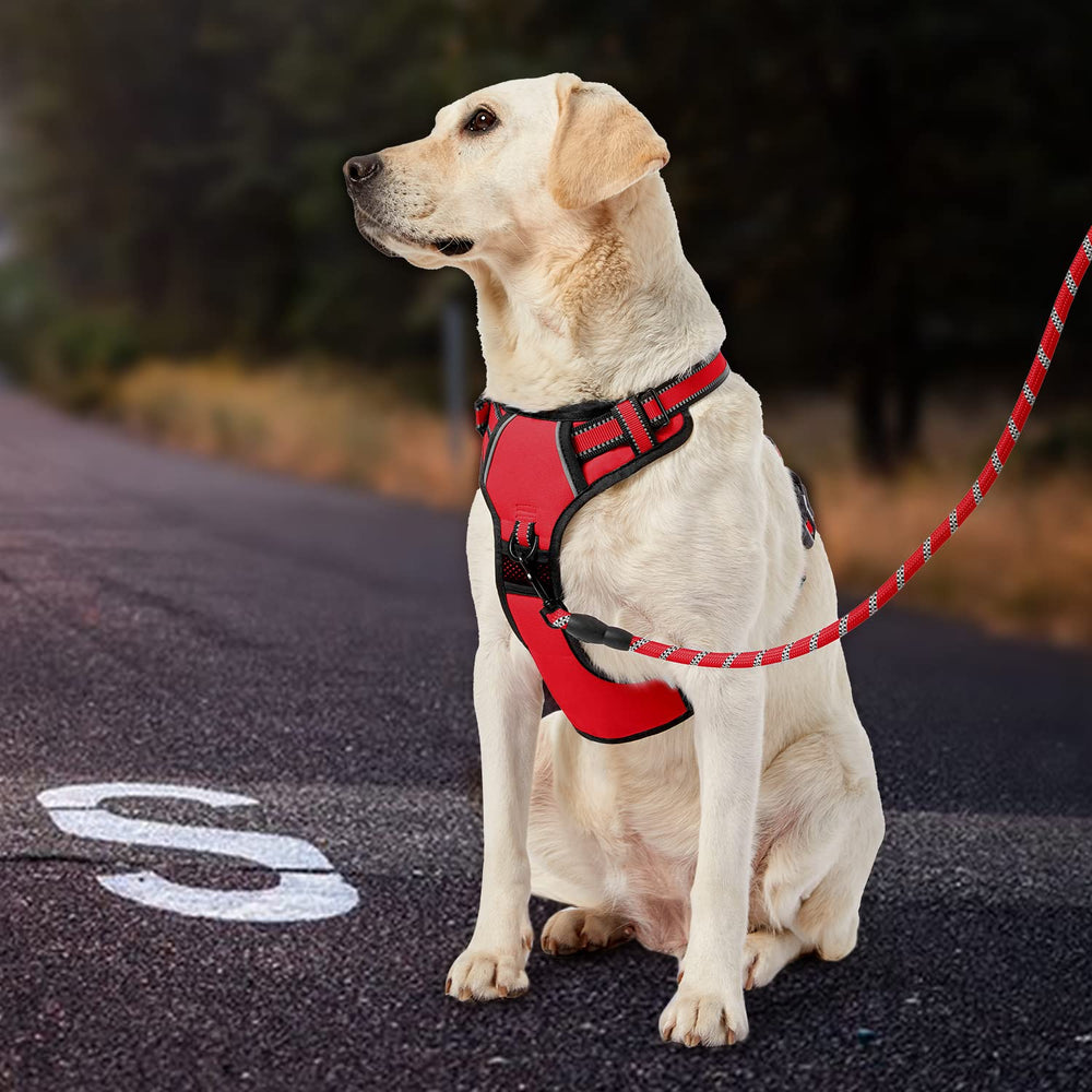 IVY&LANE No Pull Harness includes leash, seatbelt, storage strap for safety.