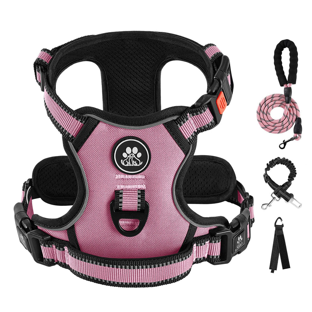 IVY&LANE No Pull Harness pink on a small dog for comfortable daily walks