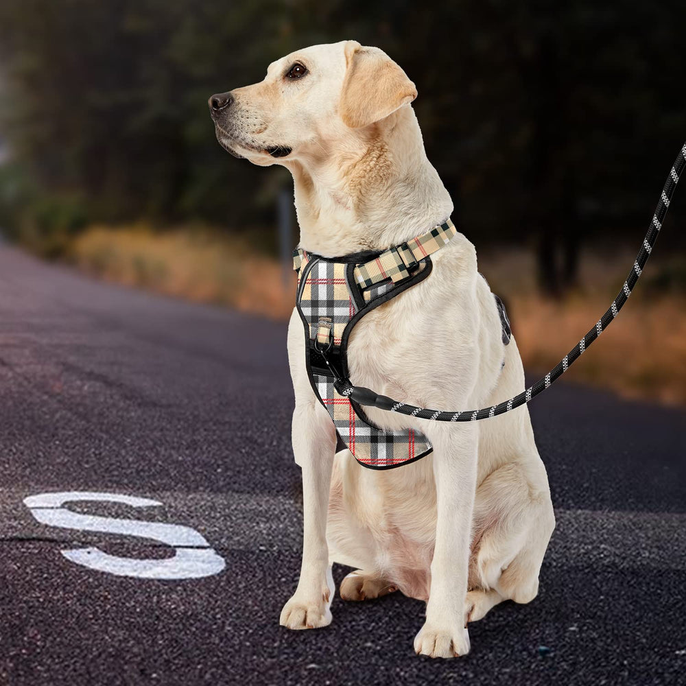 IVY&LANE small-dog walking setup in checkered beige illustrates practicality.