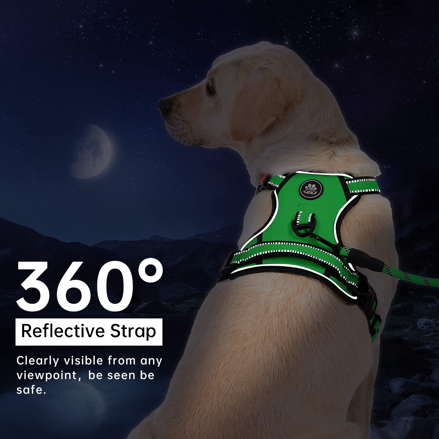 IVY&LANE storage strap green pack keeps gear organized