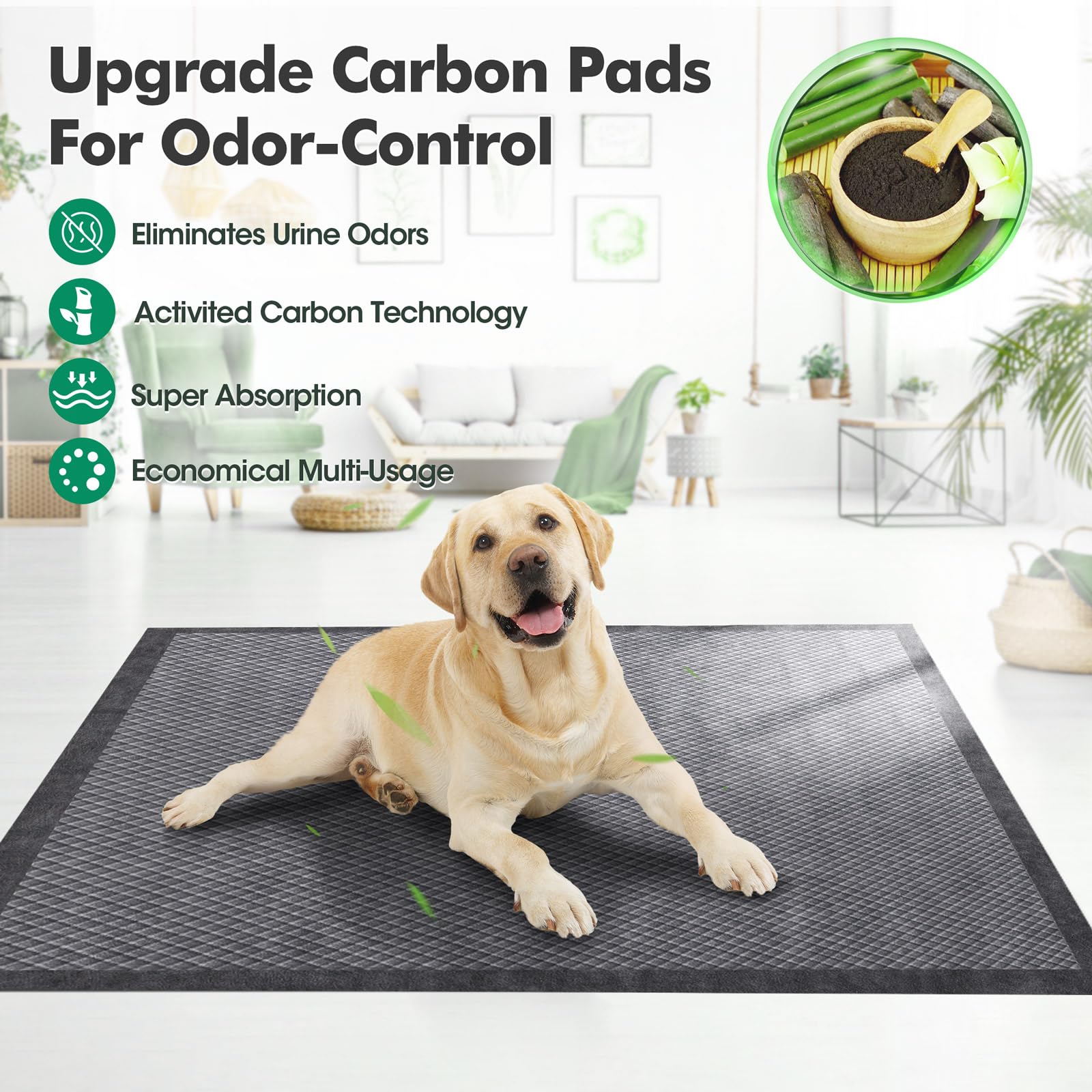 iweepet 36x36-xxl-setup-useful for puppies and seniors