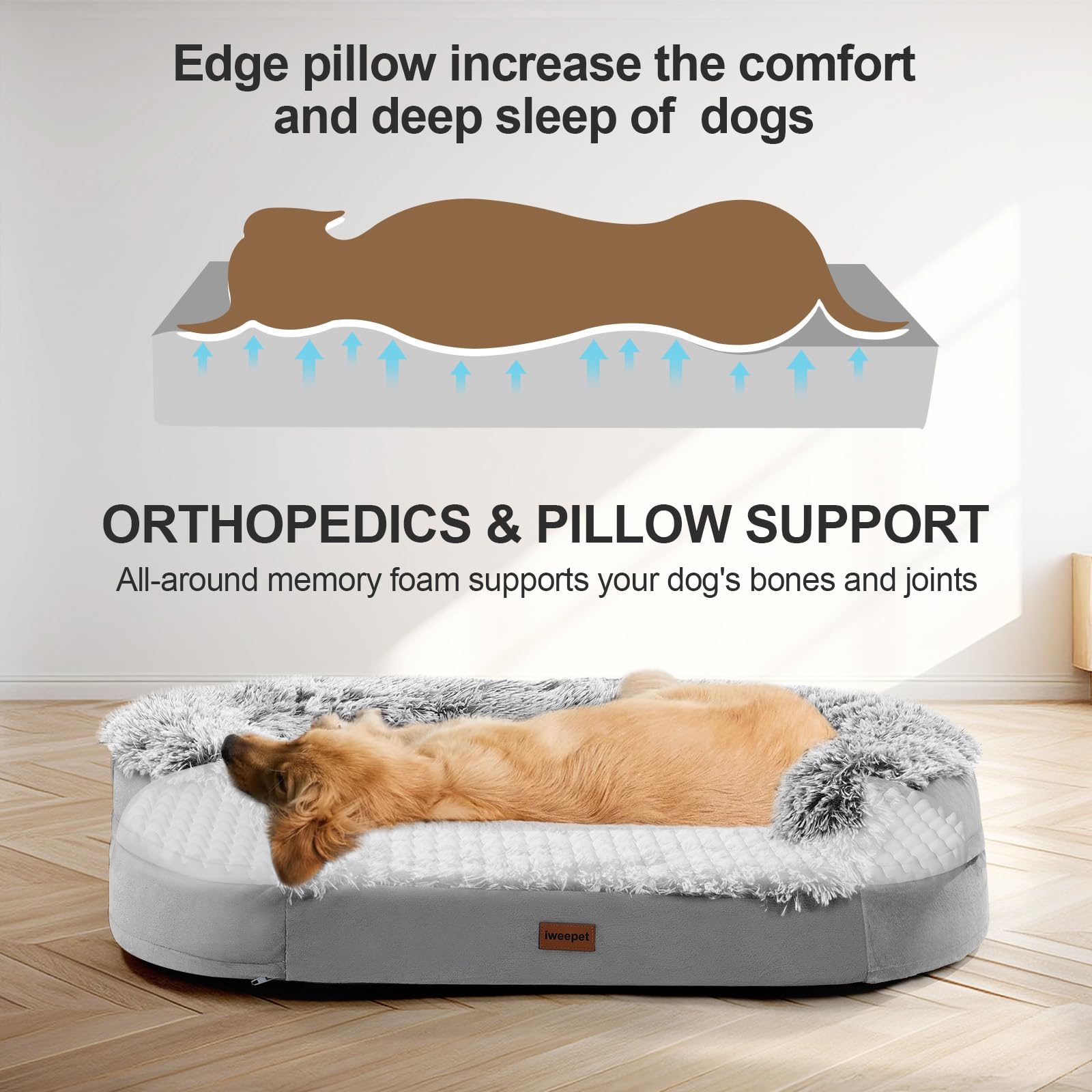 Iweepet bed with low entrance eases entry for injured or elderly dogs
