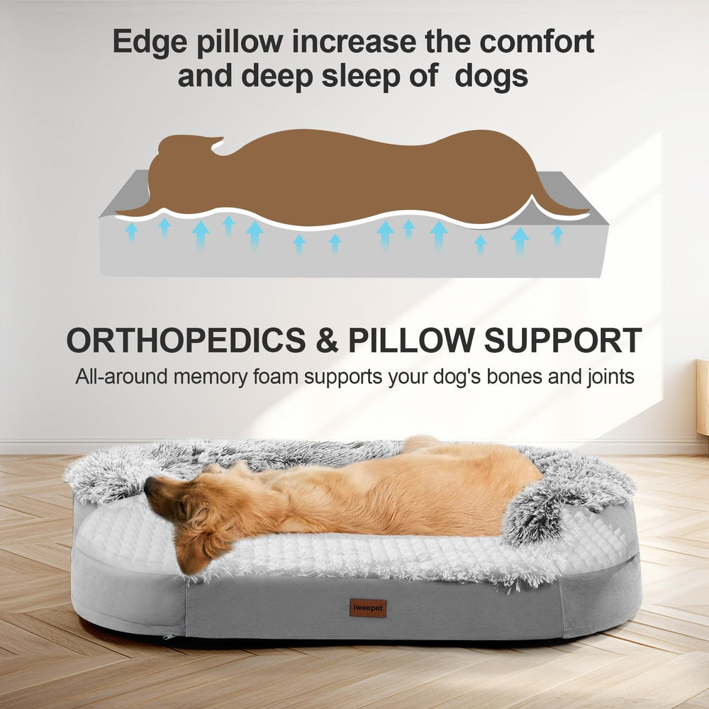 Iweepet bed with low entrance eases entry for injured or elderly dogs