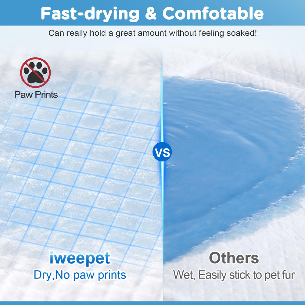 iweepet six-layer construction closeup highlights absorbent design and quick liquid handling.