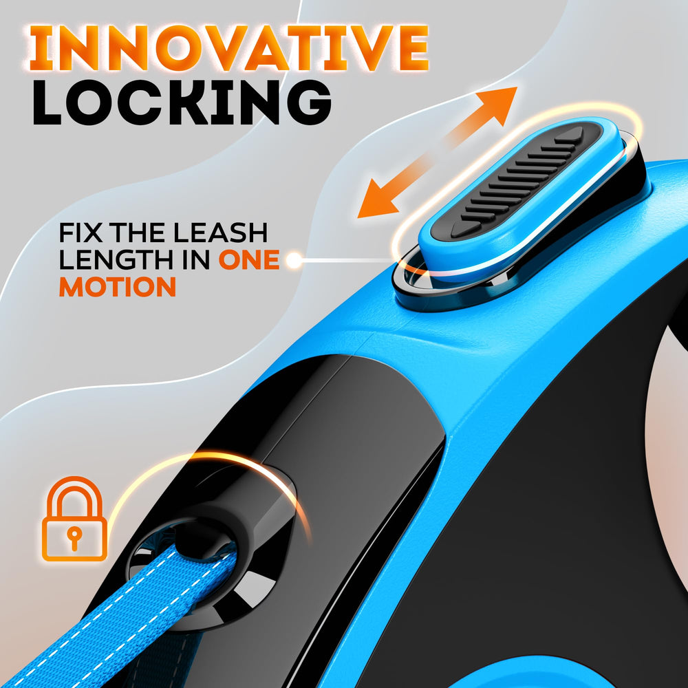 IWOOFI heavy-duty leash in use scene shows safe, confident control on a park path