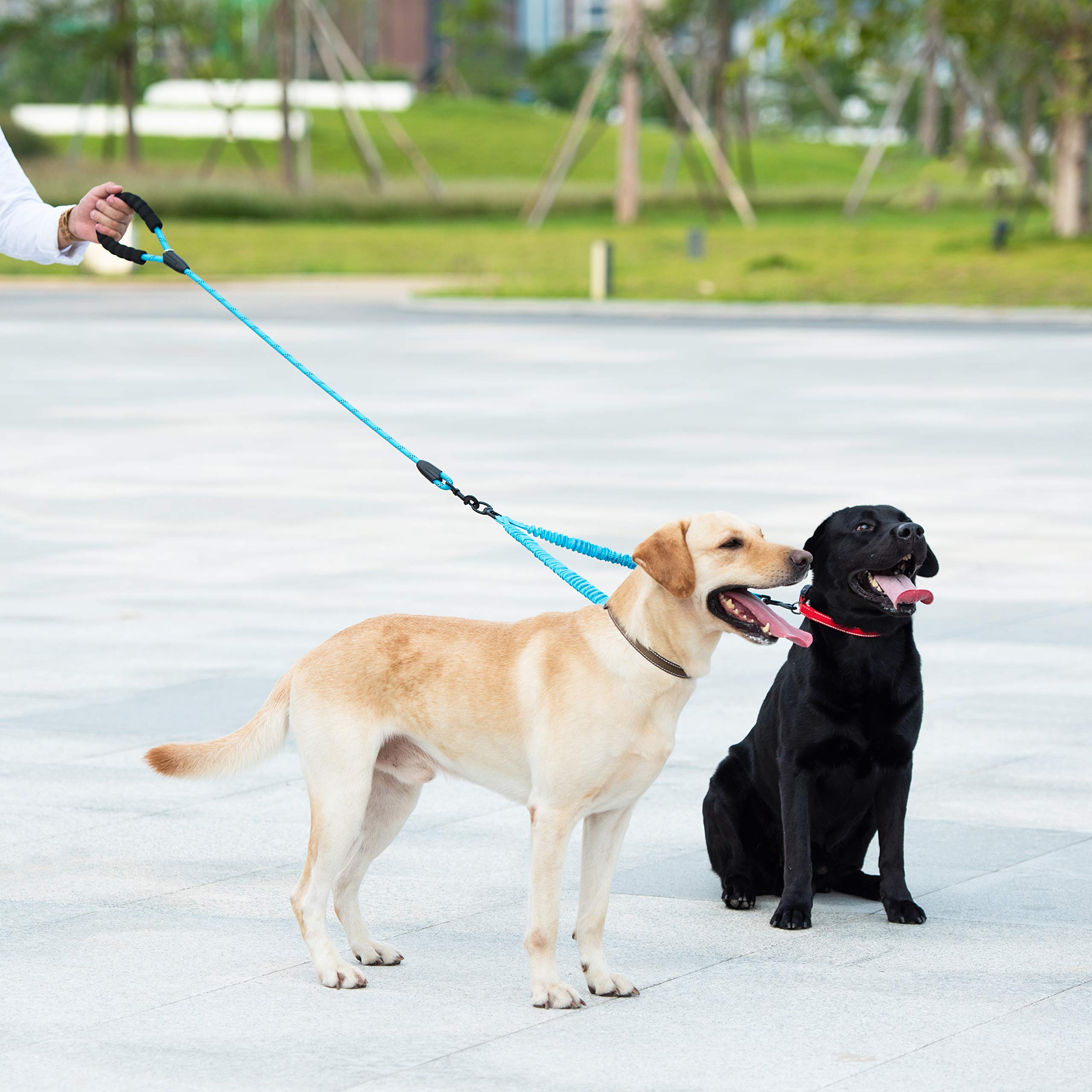 iYoShop Dual Dog Leash blue color coordinates gear while keeping you in control.