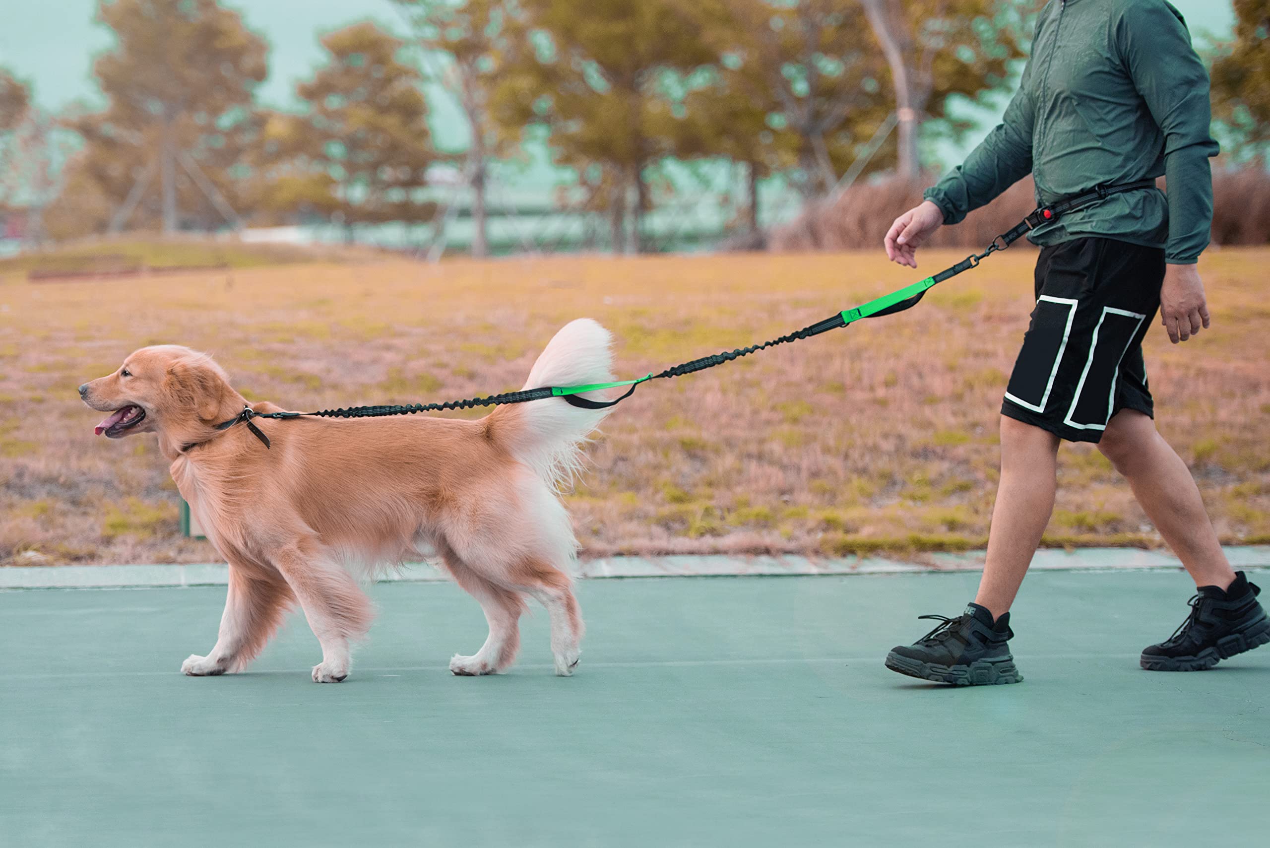 iyopets easy-clip attachment system simplifies setup before every walk