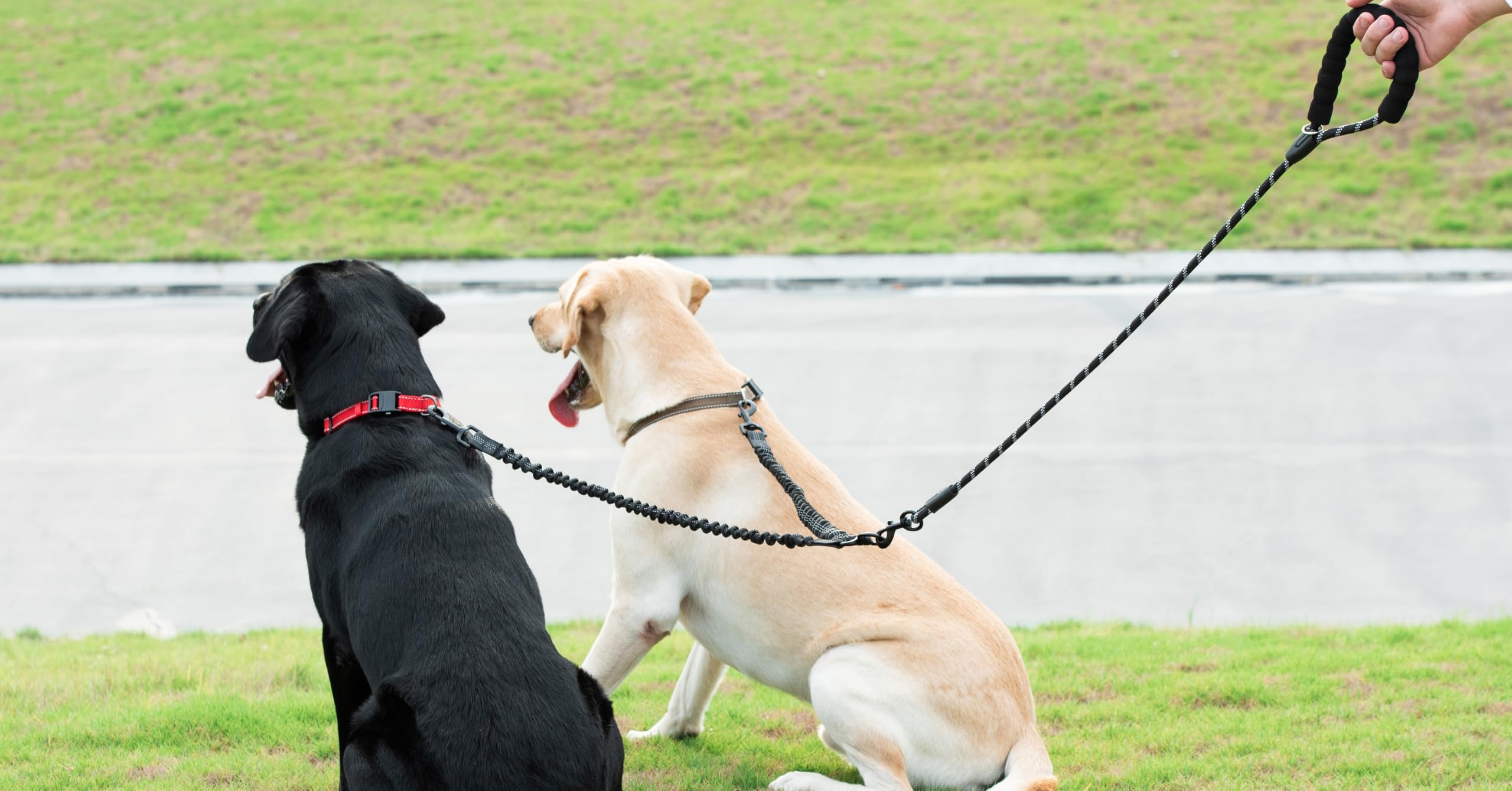 iYoShop Correa doble, ideal para paseos diarios con dos perros.