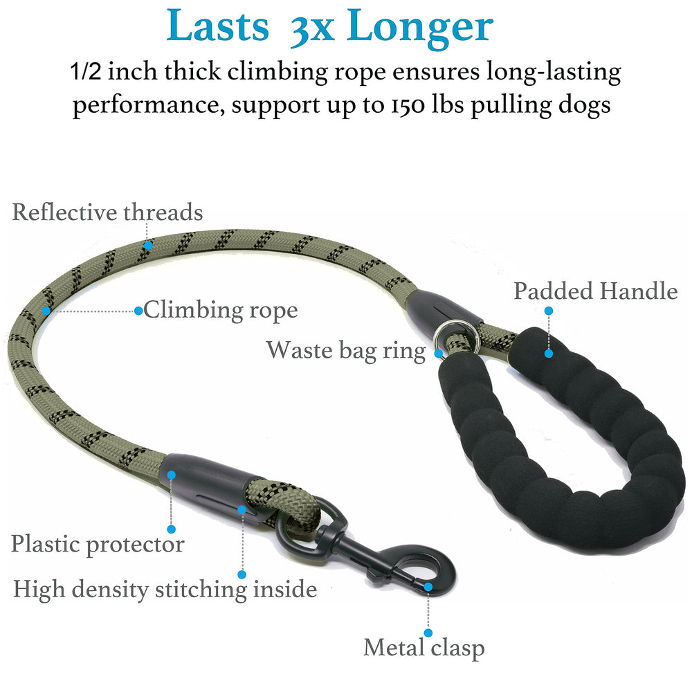 iYoShop bungee extension cushions pulls, easing active dogs' sudden movements.