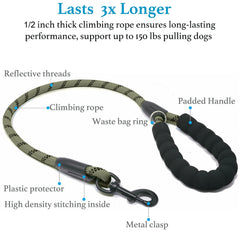 iYoShop bungee extension cushions pulls, easing active dogs' sudden movements.