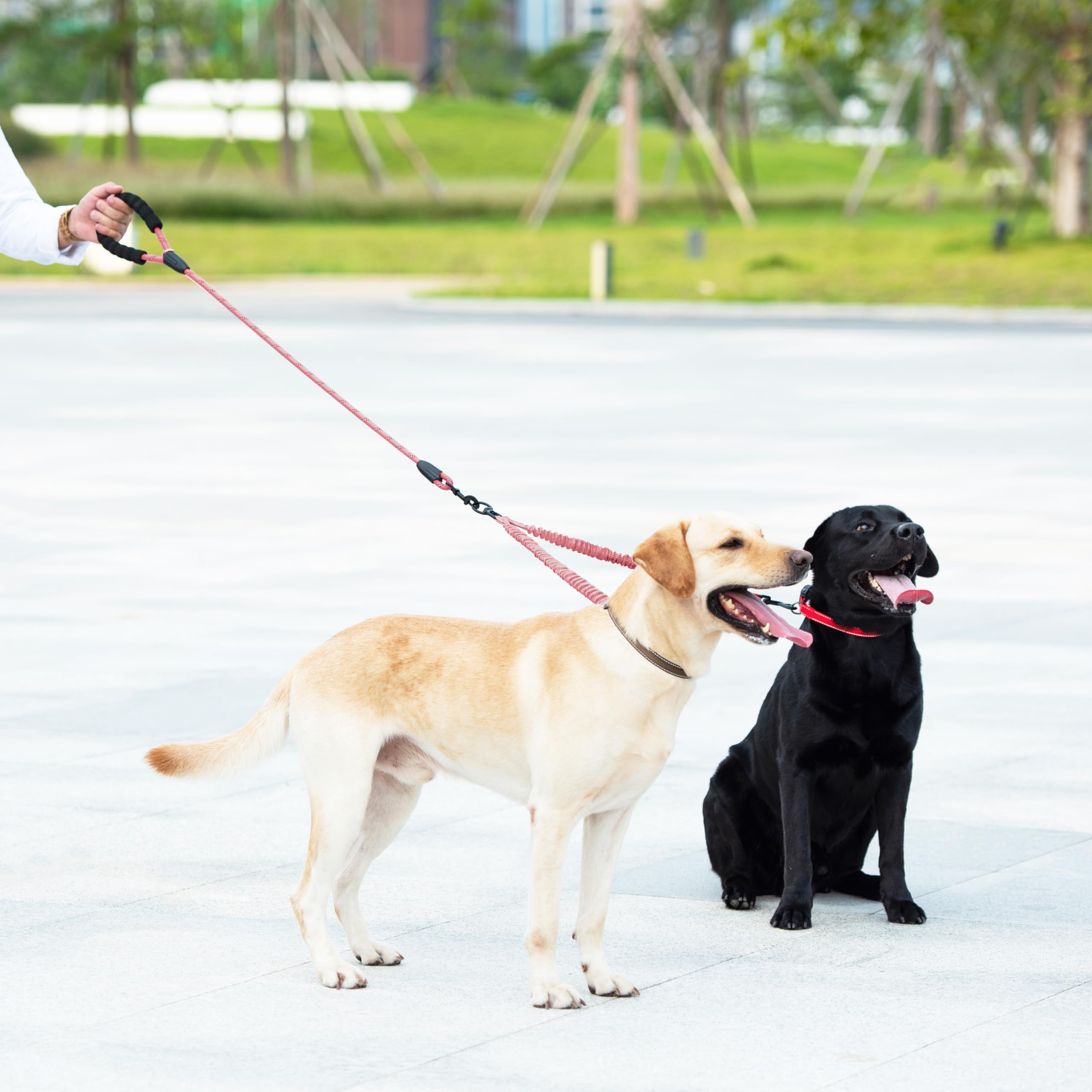 iYoShop baby pink color adds style and visibility for two-dog adventures.