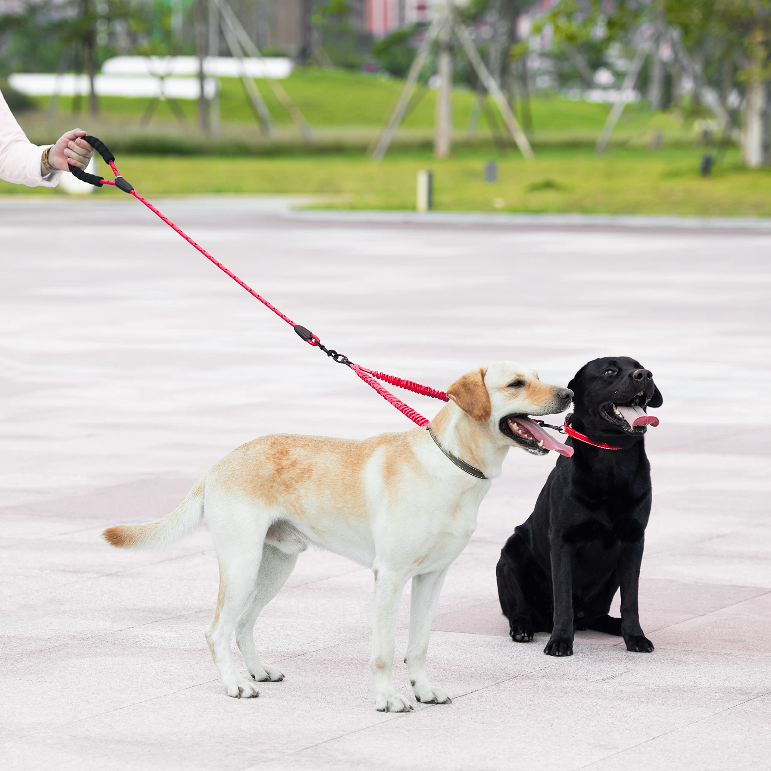iYoShop Dual Dog Leash supports two dogs up to 150 lbs for balanced walking.