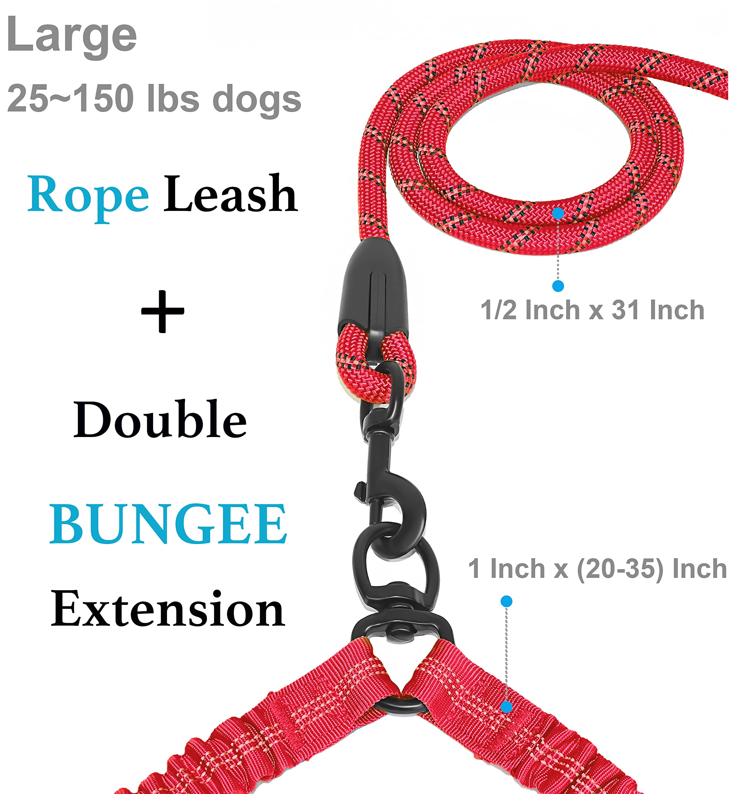 iYoShop Dual Dog Leash side view showing two-dog setup for comfortable control.