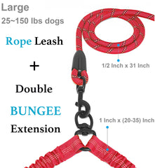 iYoShop Dual Dog Leash side view showing two-dog setup for comfortable control.