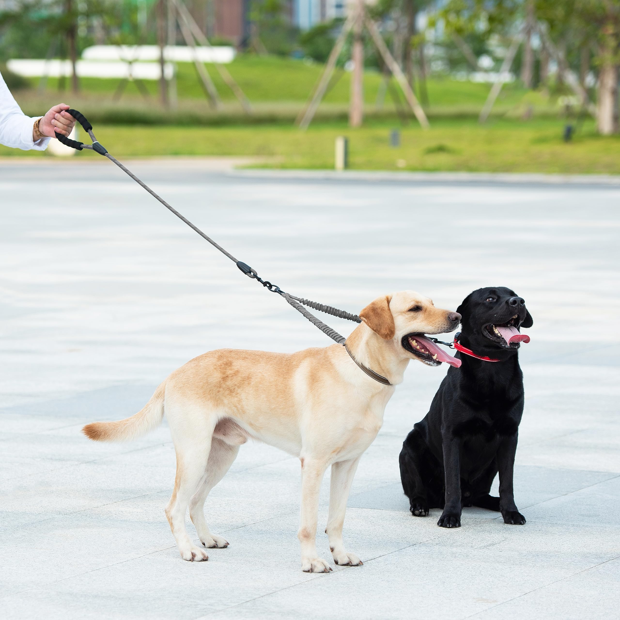iYoShop grey dual-dog leash suitable for large dogs 25–150 pounds