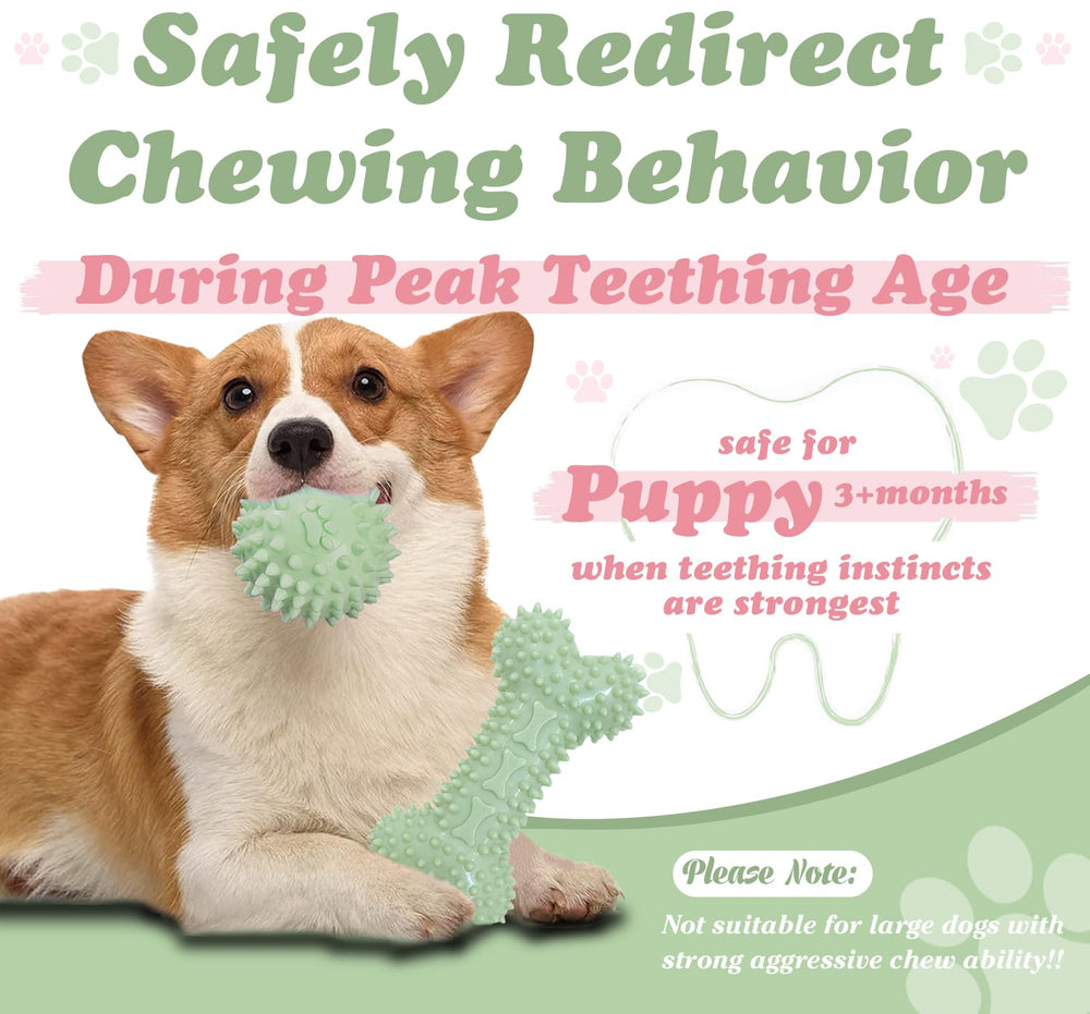iYoway outdoor play puppy toy promotes active, engaging sessions