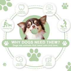 iYoway puppy toy in resilient TPR material for long-lasting play