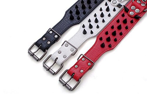 Izefia size-chart collar laid flat demonstrates adjustable range.