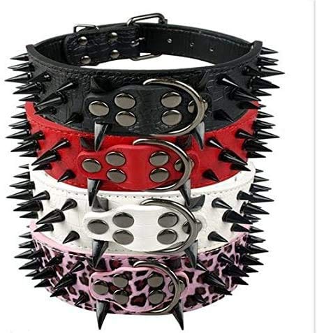 Izefia dog collar closeup rivets show durable hardware.