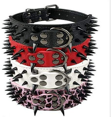Izefia dog collar closeup rivets show durable hardware.