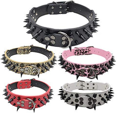 Izefia dog collar front view highlights luxurious spike detail and fit.