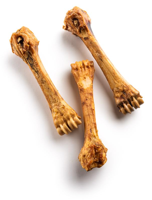 Jack&Pup beef shin bone close-up reveals rich marrow for savory, satisfying chews.