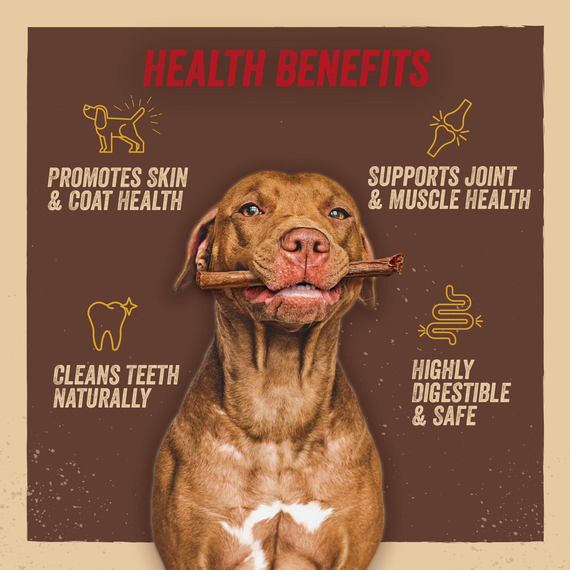 Jack&Pup 6in sticks demonstrate suitability for aggressive chewers with longer-lasting durability.