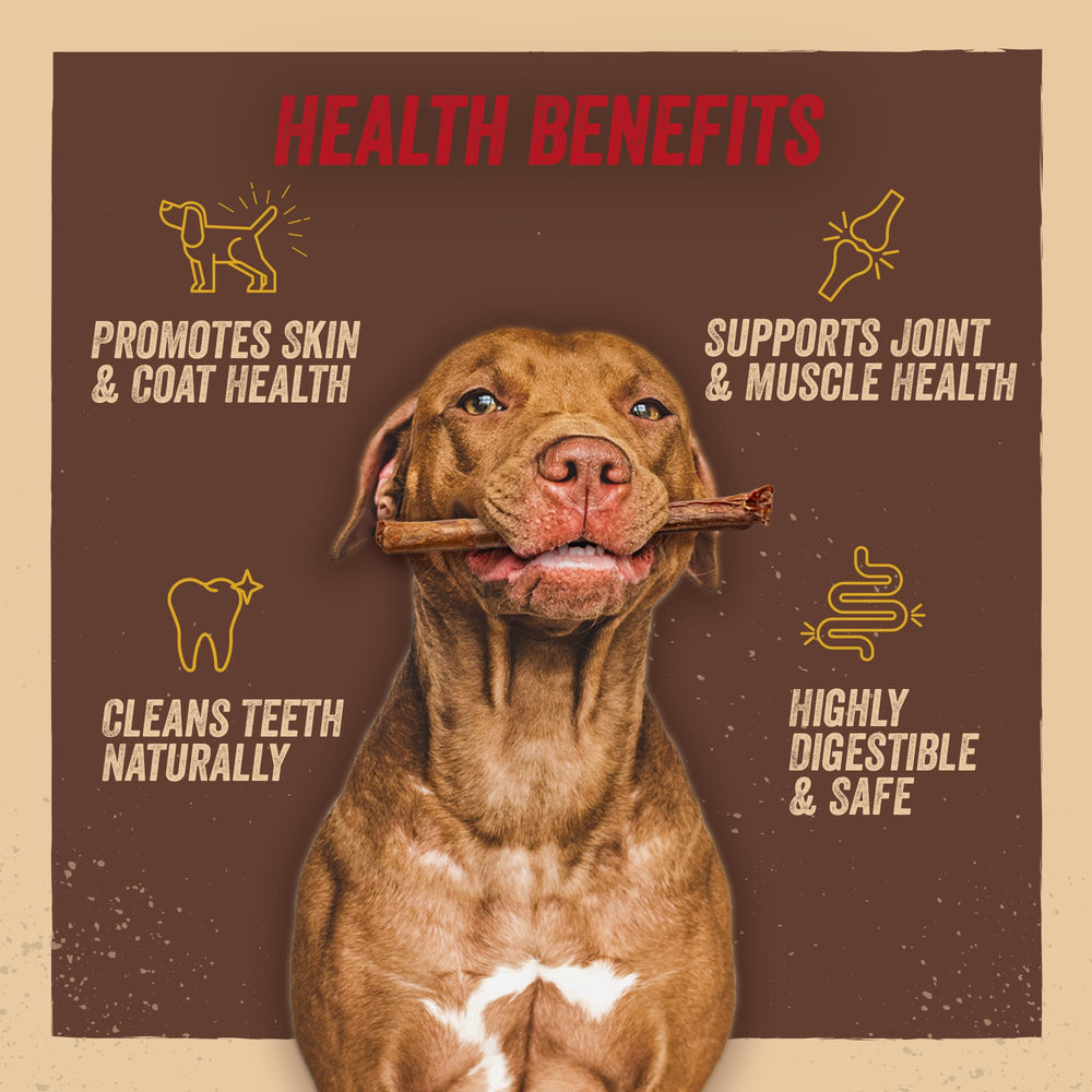 Jack&Pup 6in sticks demonstrate suitability for aggressive chewers with longer-lasting durability.