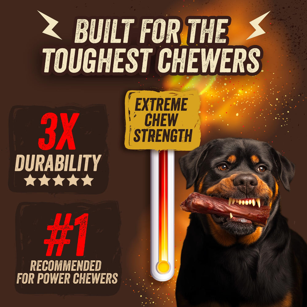 Jack&Pup SQF and GFSI certified badge displayed to emphasize safety standards.
