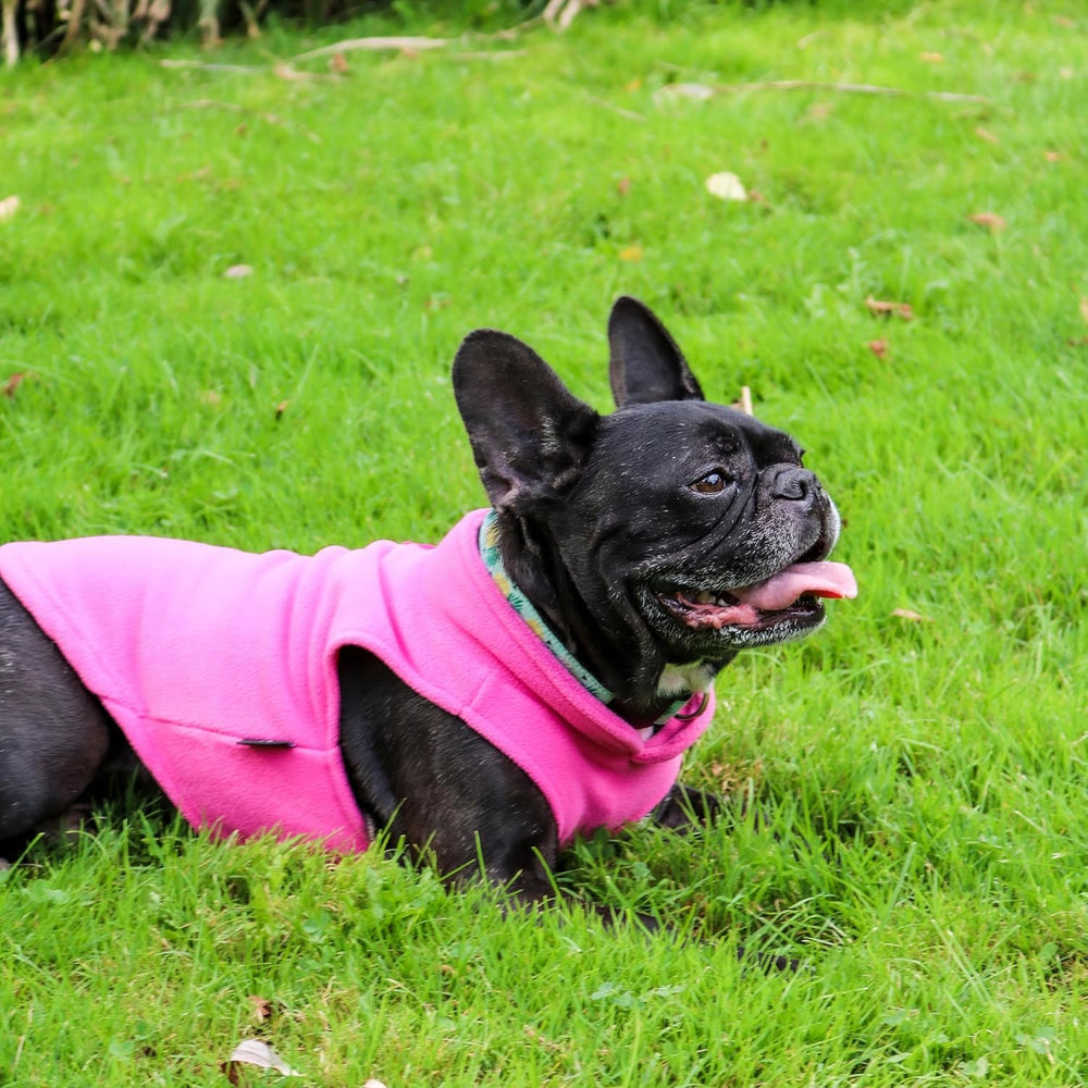 Jacko & Co leash-ring feature allows quick clip-on during daily walks