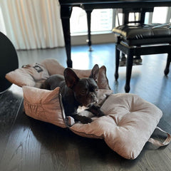 Jacko & Co Premium Dog Car Seat side-access closeup reveals easy pet entry.