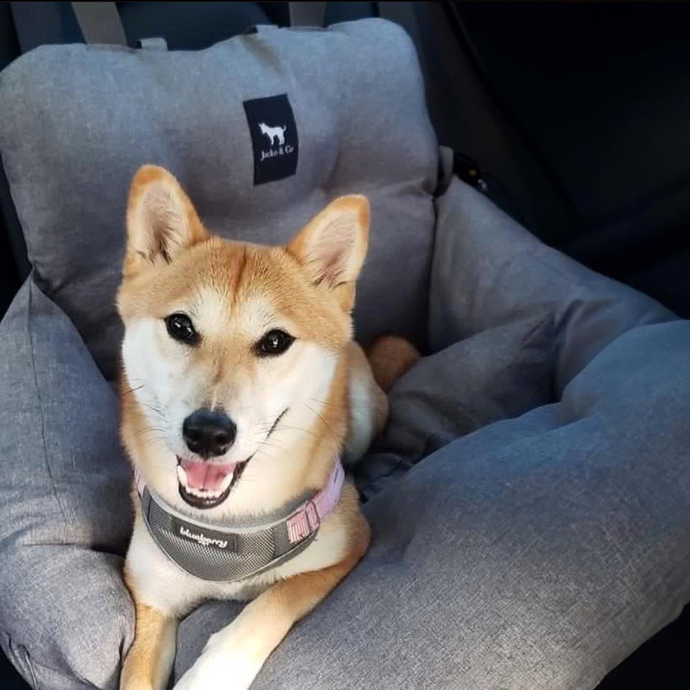 Jacko & Co Premium Dog Car Seat storage pockets organize toys and bags.