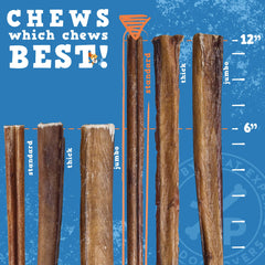 Jack&Pup 12in bully sticks cross-section suggests single-ingredient beef muscle.