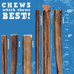 Jack&Pup bully sticks ideal for medium dogs during chew sessions.