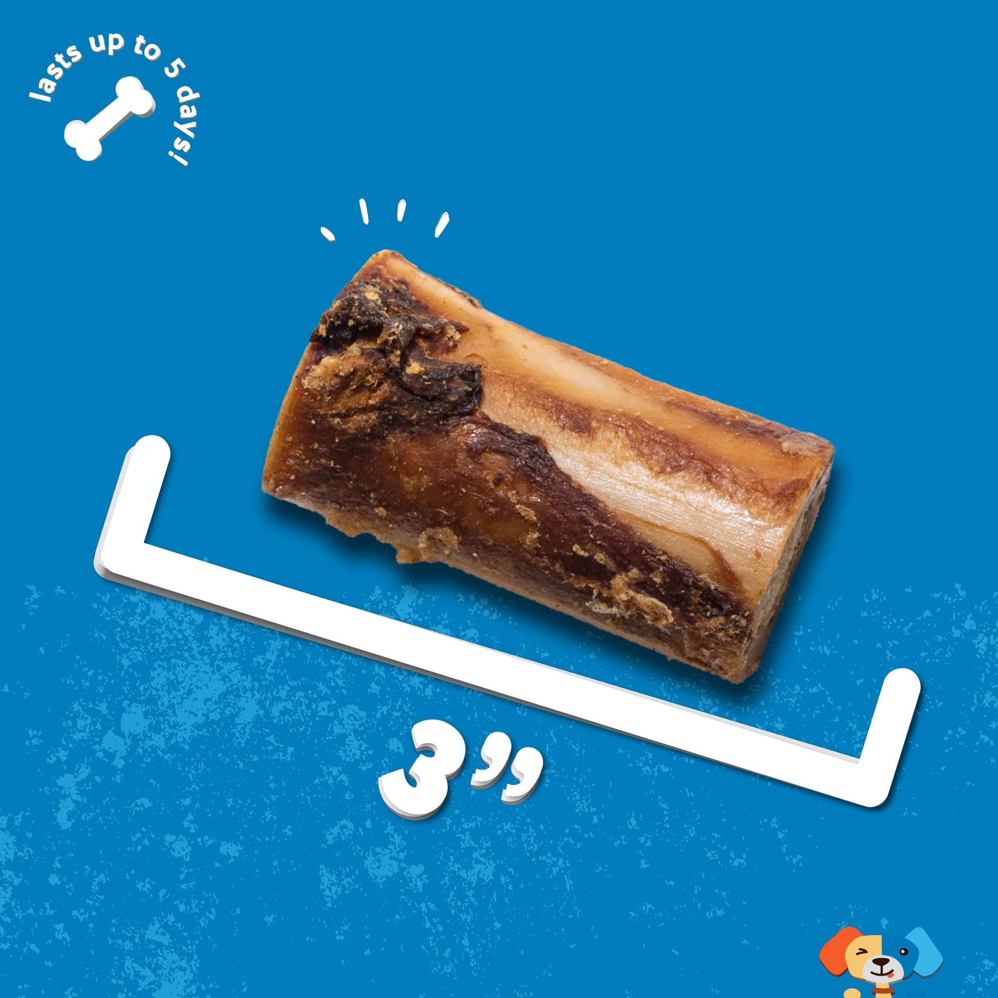 Jack&Pup beef marrow bones single-ingredient chew promotes safe, digestible treat.