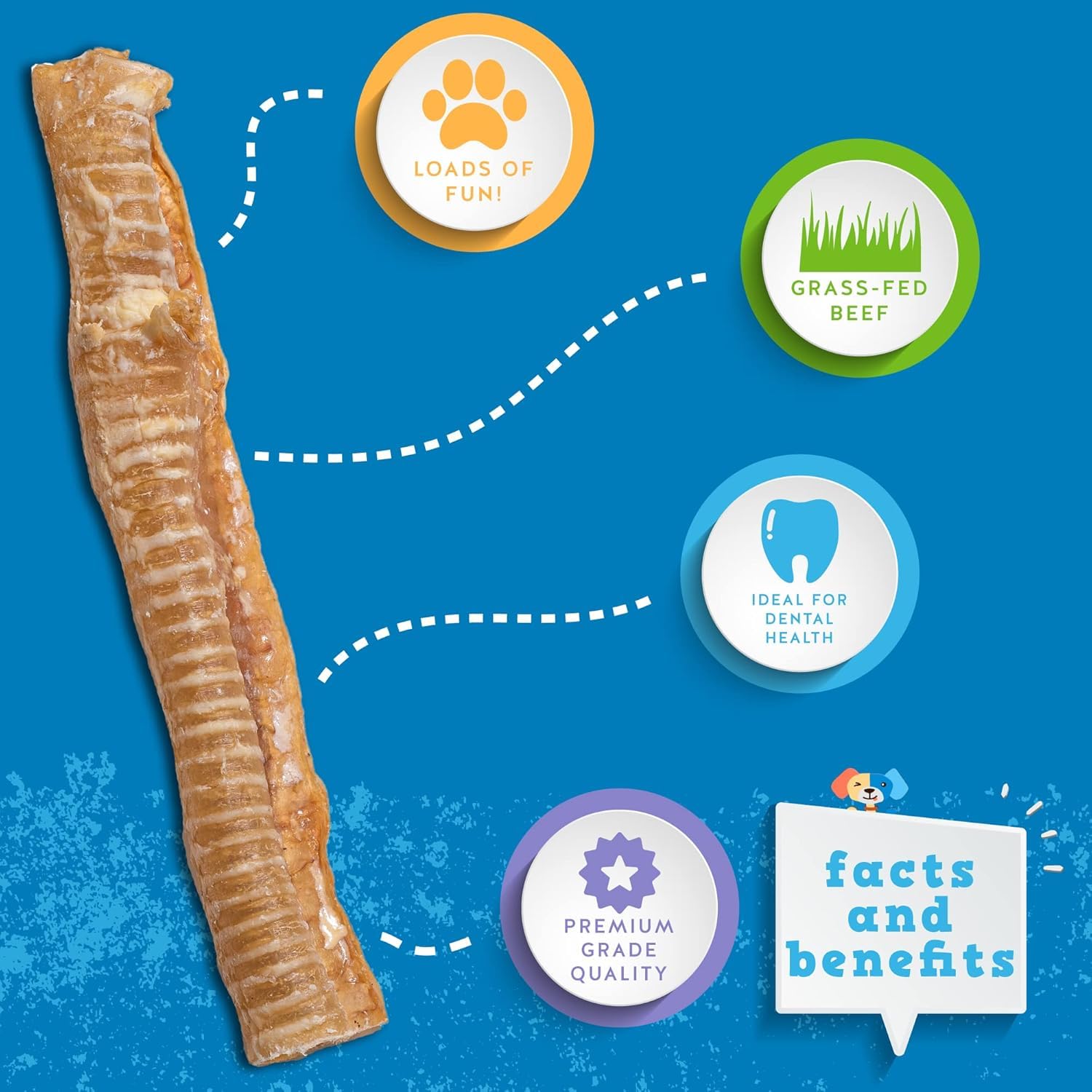 Jack&Pup beef trachea long chew demonstrates durability for strong chewers.