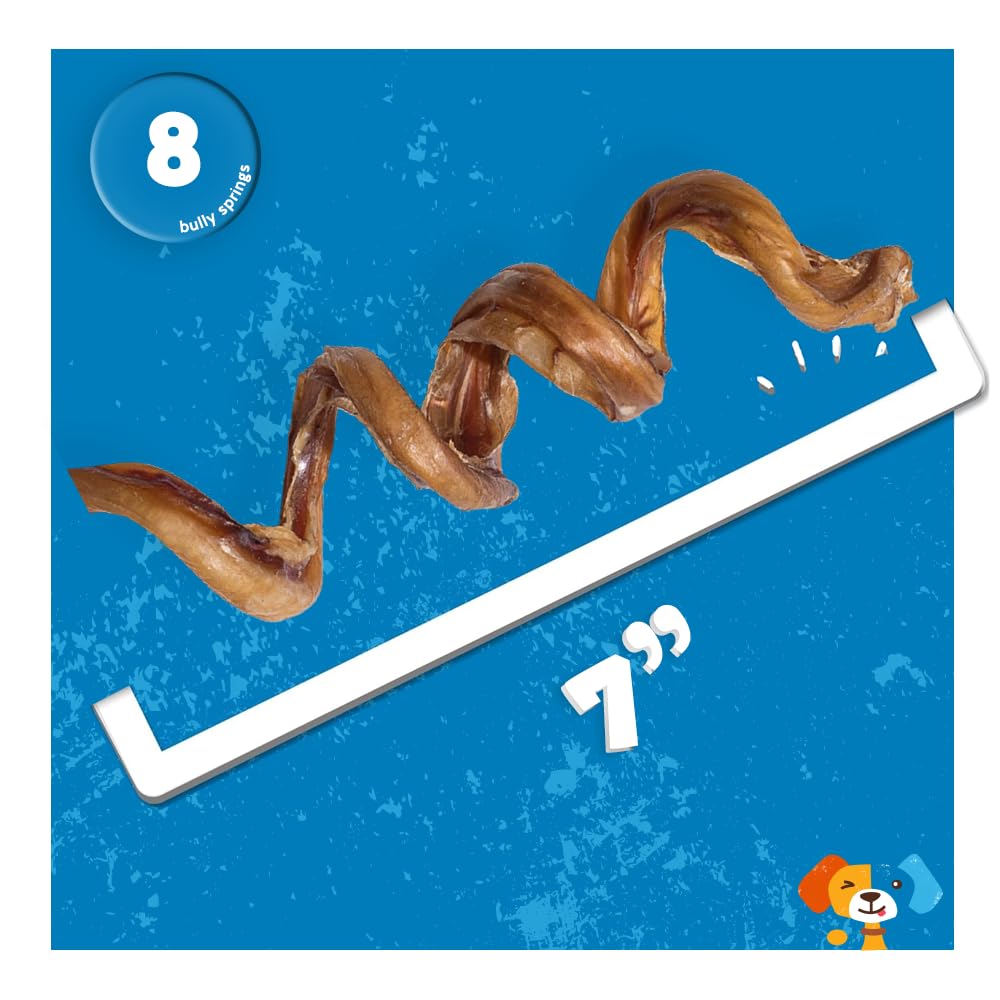 Jack&Pup Bully Springs 7-inch in action, dog enjoying a long-lasting chew