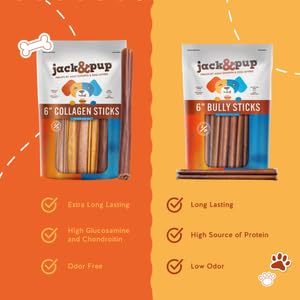 Jack&Pup collagen stick 6in in-use dog chewing demonstrates real-life use