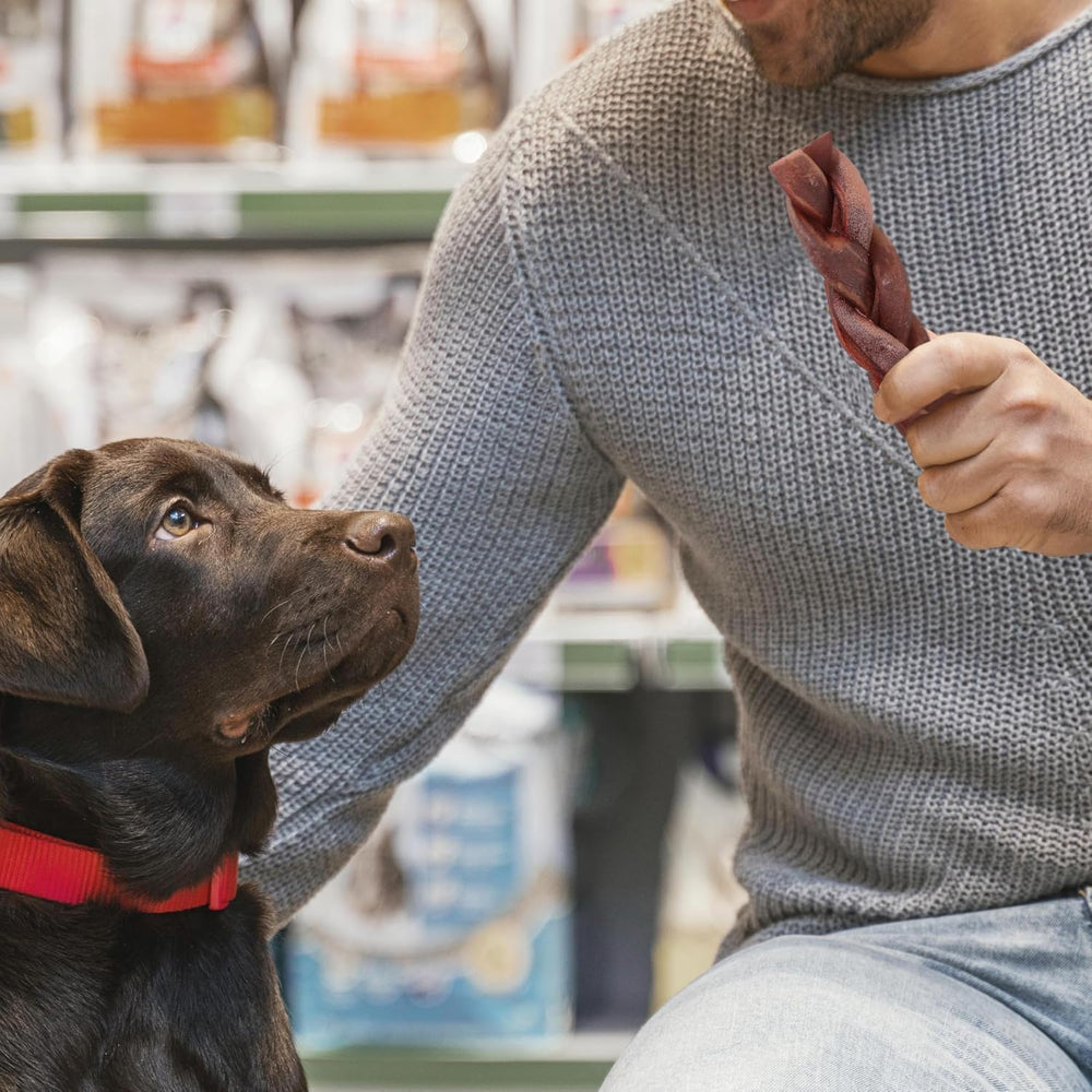 Jack&amp;Pup collagen sticks suit medium to large dogs during treats