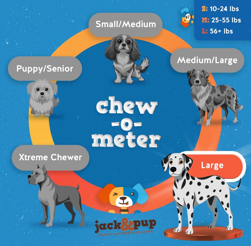 Jack&Pup dental benefits visual focusing on teeth and gums support