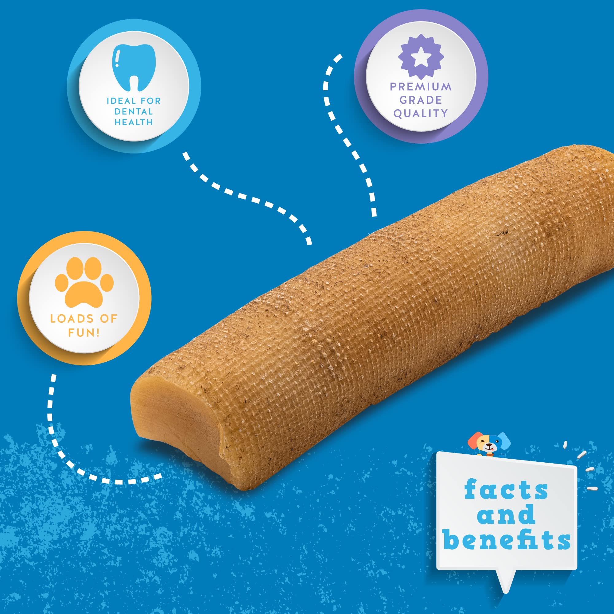 Dog chewing action featuring Jack&Pup Himalayan yak chew and safe play.