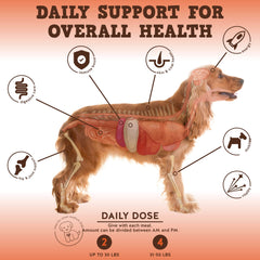 Jack&Pup dog vitamins soft chews close-up showing probiotics and glucosamine for mobility.