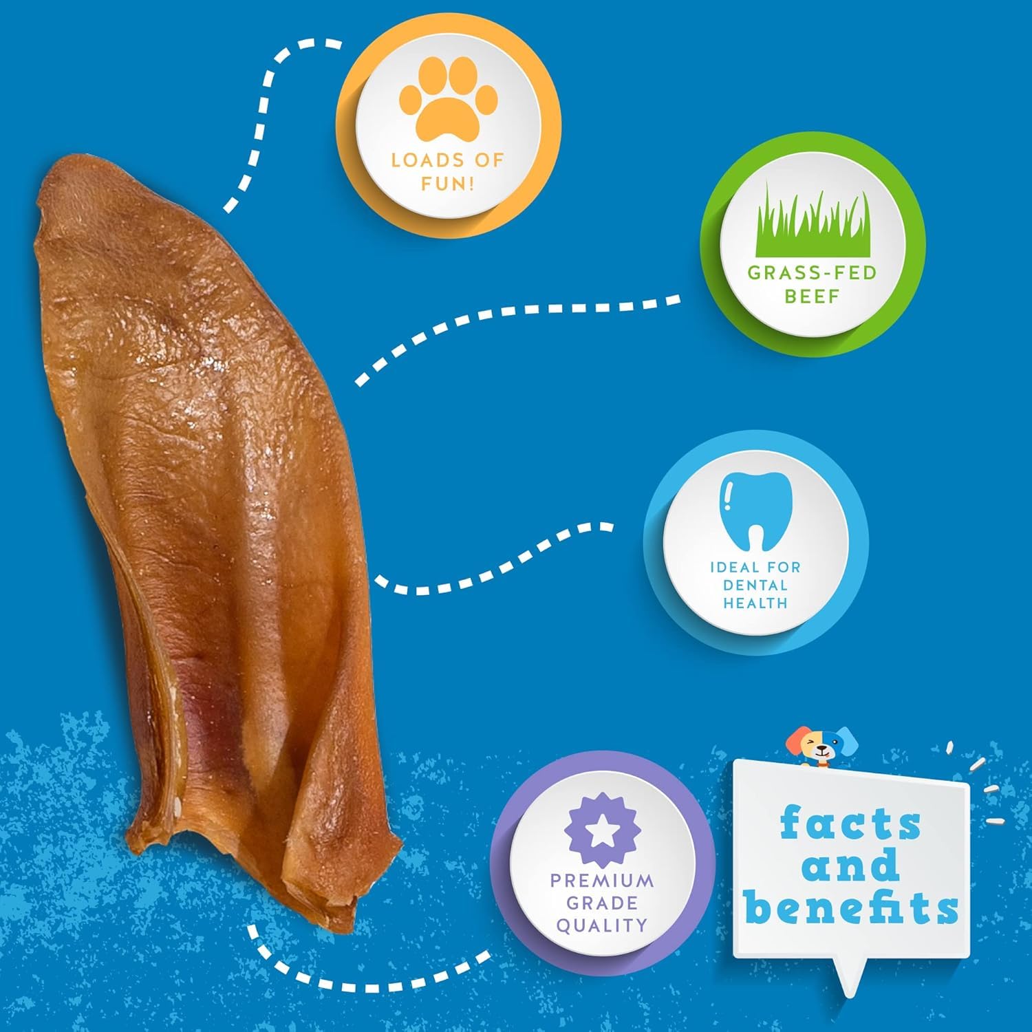 Jack&Pup half pig ear closeup raw, emphasizes premium texture for dog-approved chew.