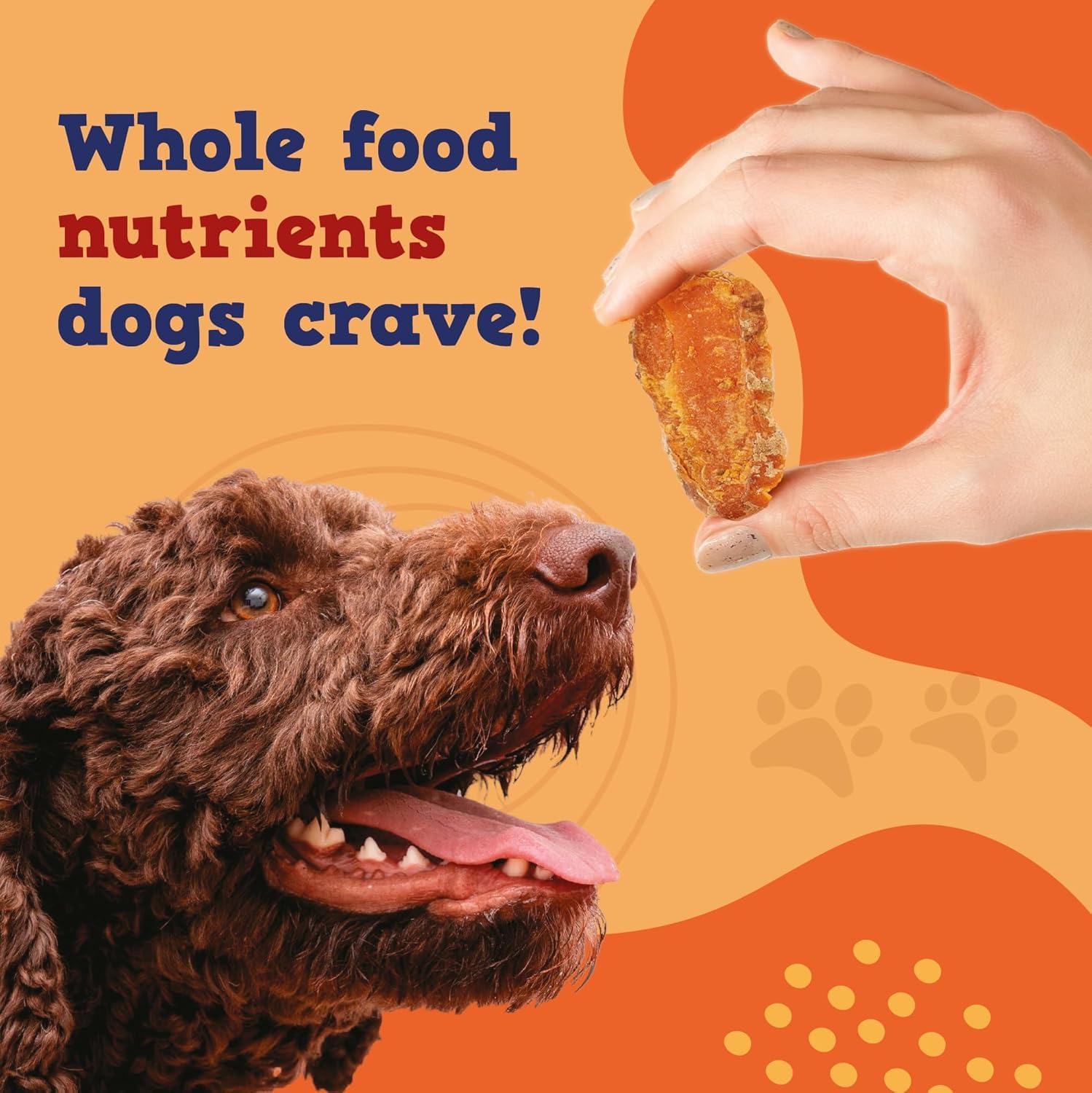 Jack&Pup hypoallergenic dog treats label suggests gentle option for sensitive pups.