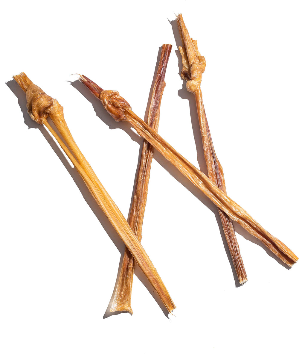 Jack&Pup 12-inch bully stick demonstrates natural beef flavor for teething puppies.