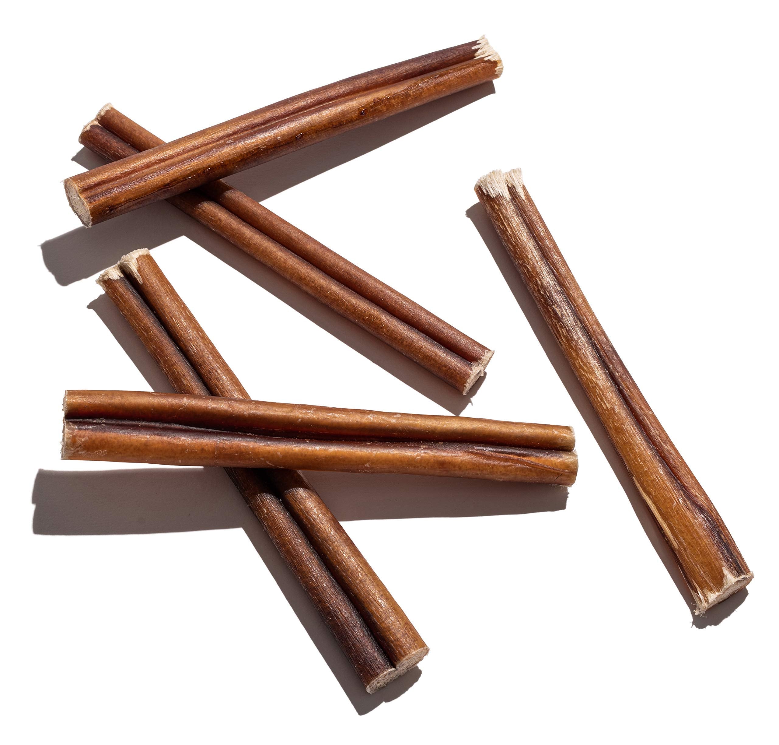 Jack&Pup large-dog chew time demonstrates odor-free enjoyment