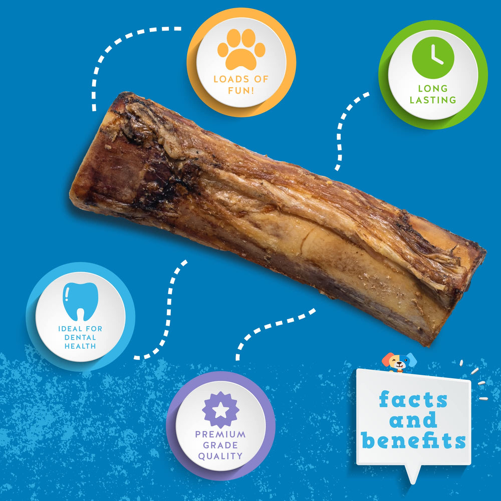 Three-pack display of Jack&Pup marrow bones offering long-lasting chews.
