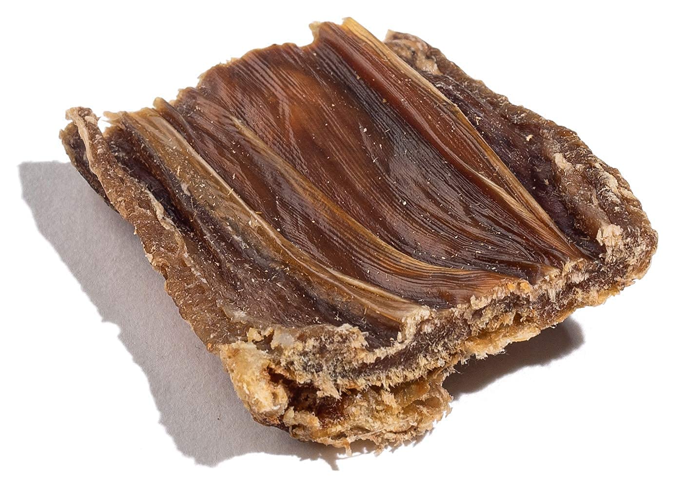 Jack&Pup puppy-training-chew session, encourages safe chewing during learning moments