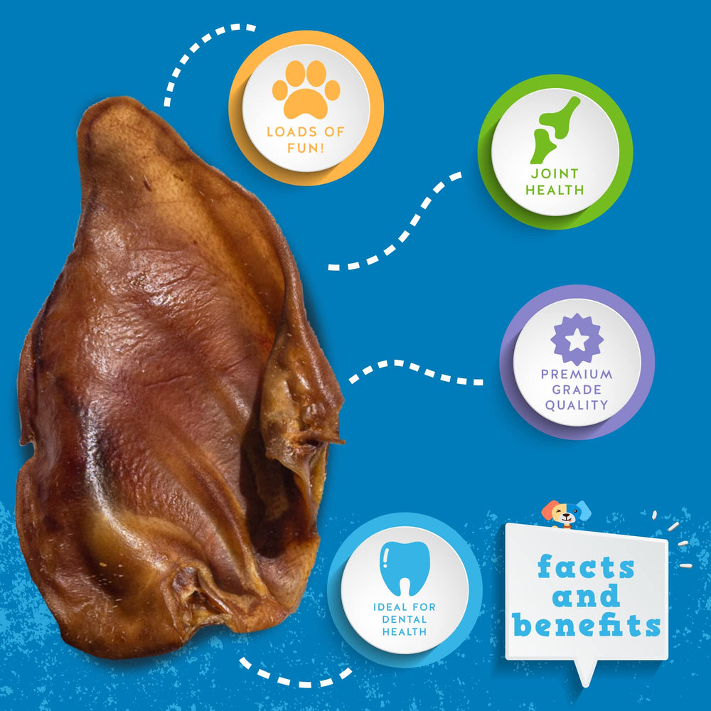 Jack&Pup USDA facility process image emphasizing safe, high-quality production.