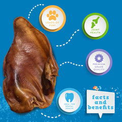 Jack&Pup USDA facility process image emphasizing safe, high-quality production.